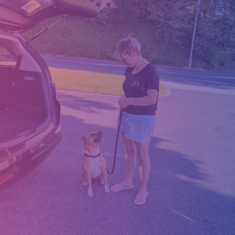 ReadyDog Marker Training