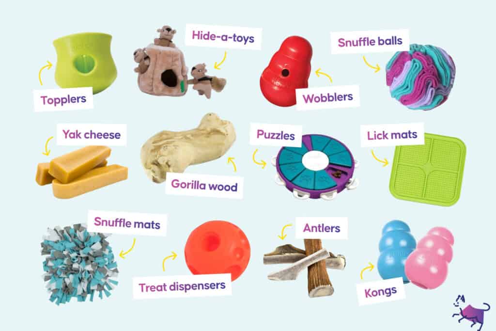 several food enrichment toys